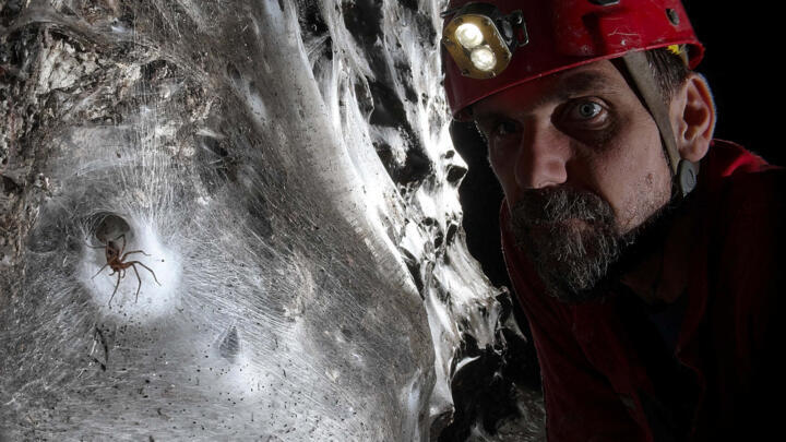 This handout photo shows a cave explorer examining a large spider web at Sulfur Cave on the Greece-Albania border in October 21, 2021.