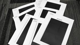 Pages from the Jeffrey Epstein document trove released by the US Justice Department which have been entirely blacked out.