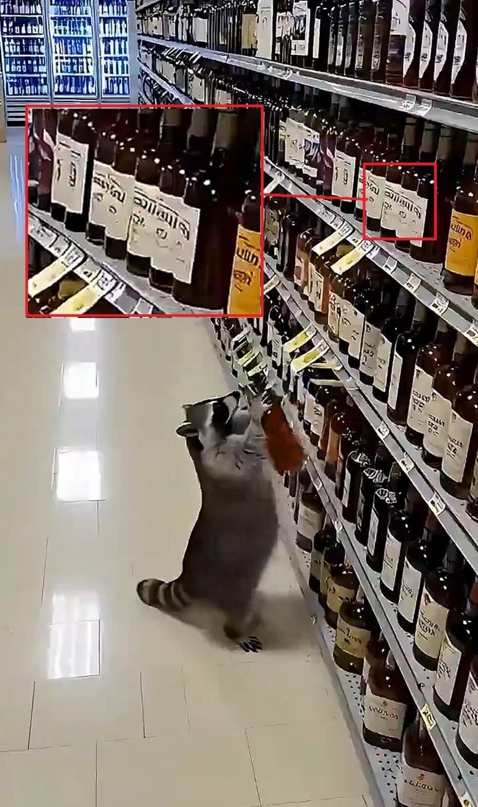 There is gibberish written on the wine labels visible in this video posted on December 6, 2025. That’s a clue that the video was created by AI.