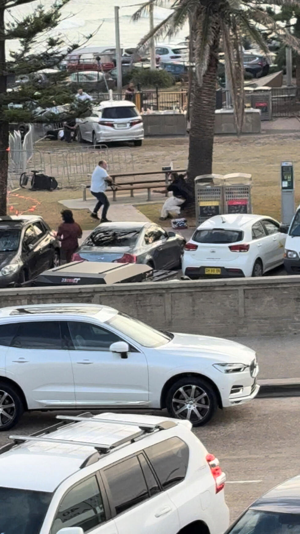Bystander Ahmed al Ahmed (left) disarms one of two gunmen who attacked beachgoers at Bondi Beach in Sydney, Australia, on December 14, 2025, in this screengrab from a third-party video.
